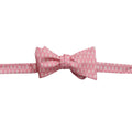 Rosa Abgefüllte Bourbon Flasche Bowtie Bourbon Whiskey