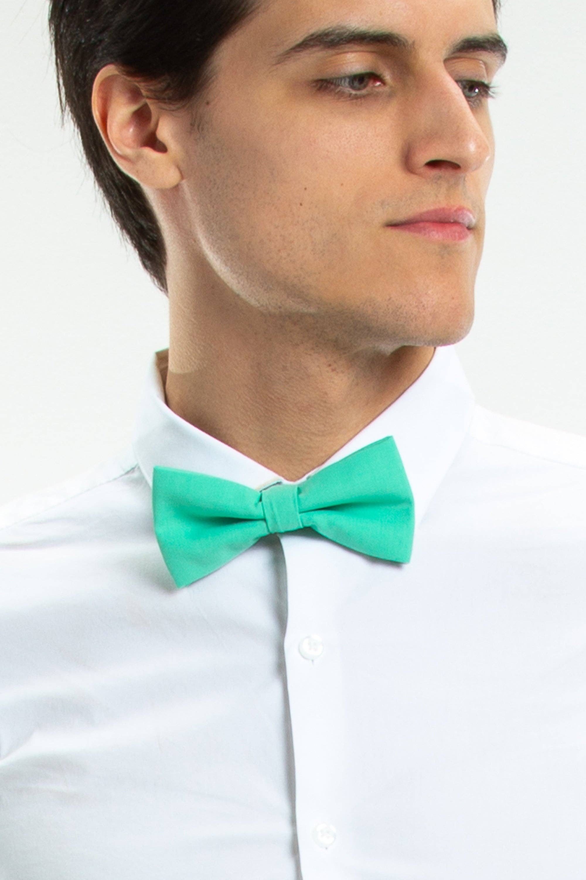 Kentucky Derby Blaugrün Pastel Bow Tie