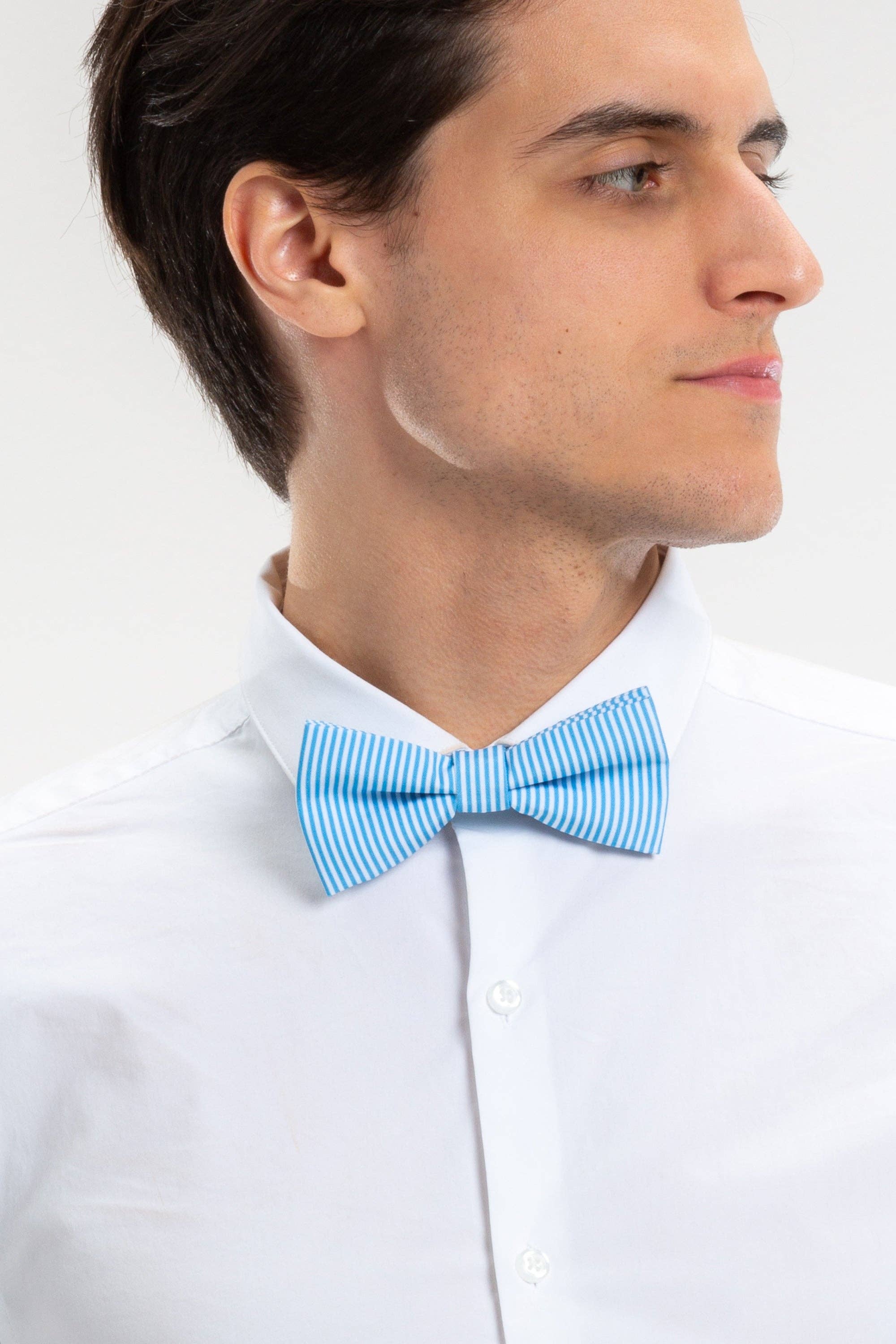 Die Millionäre Row Derby Blau Stripe Bow Tie
